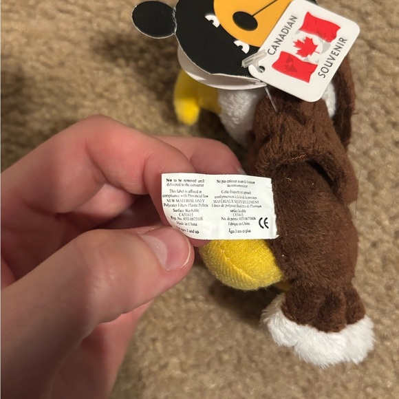 Snowcap Candian Souvenir Eagle Magnet - Picture 5 of 8